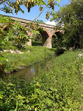 Viaduct at Quarry Lane Local Nature Reserve