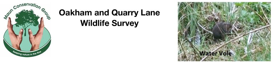 Maun Conservation Group